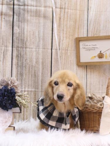 20241015バナナちゃん